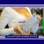 Теплообменник ГВС HR 10 пластин 207 х 166 (для BAXI ECO3, Eco four, Fourtech после 2014) Теплообменник ГВС HR 10 пластин 207 х 166 (для BAXI ECO3, Eco four, Fourtech после 2014)